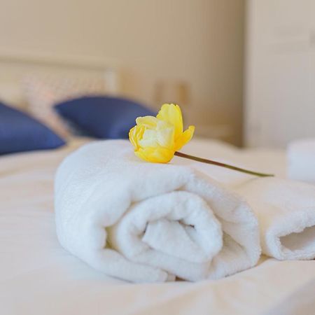 5* Mansion In City Center Cluj Napoca Bagian luar foto